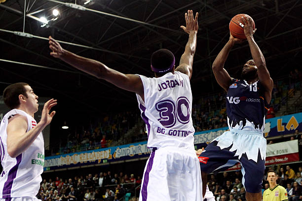 这在森林的 这在森林的